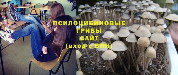 соль ск Алексин