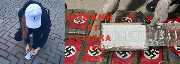 соль ск Алексин