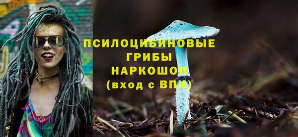 герыч Алзамай