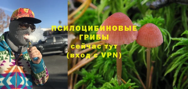 круглые Алексеевка