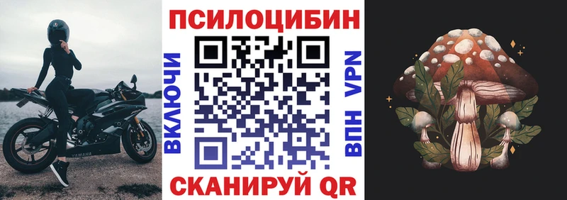 OMG зеркало  Северская  Псилоцибиновые грибы мухоморы 